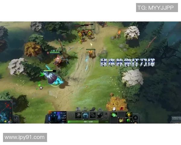 dota2印尼比赛-DOTA2印尼比赛的热血瞬间-dota2印尼比赛